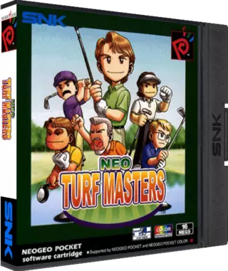 ROM Neo Turf Masters